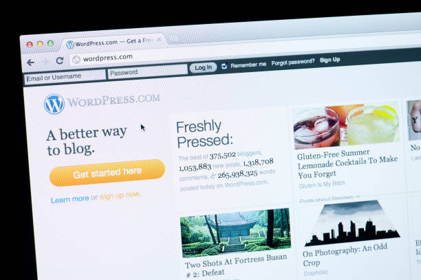 تكلفة قالب WordPress